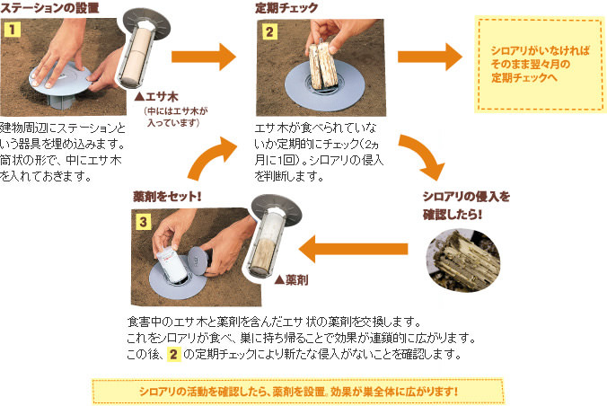 《1》ステーションの設置：建物周辺にステーションという器具を埋め込みます。筒状の形で、中にエサ木を入れておきます。《2》定期チェック：エサ木が食べられていないか定期的にチェック（2ヶ月に1回）。シロアリの侵入を判断します。シロアリがいなければそのまま翌々月の定期チェックへ。シロアリの侵入を確認したら！《3》薬剤をセット！食害中のエサ木と薬剤を含んだエサ状の薬剤を交換します。これをシロアリが食べ、巣に持ち帰ることで効果が連鎖的に広がります。この後、《2》の定期チェックにより新たな侵入がないことを確認します。シロアリの活動を確認したら、薬剤を設置。効果が巣全体に広がります！