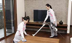 定期的にお伺いし、ご希望の場所をお掃除！必要な時に1回だけ、家中まとめてお掃除するサービスも。