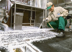 泡のパワーで薬剤を隅々まで浸透させチョウバエを駆除。