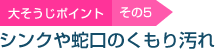 �傻�����|�C���g5 �V���N��֌��̂����艘��